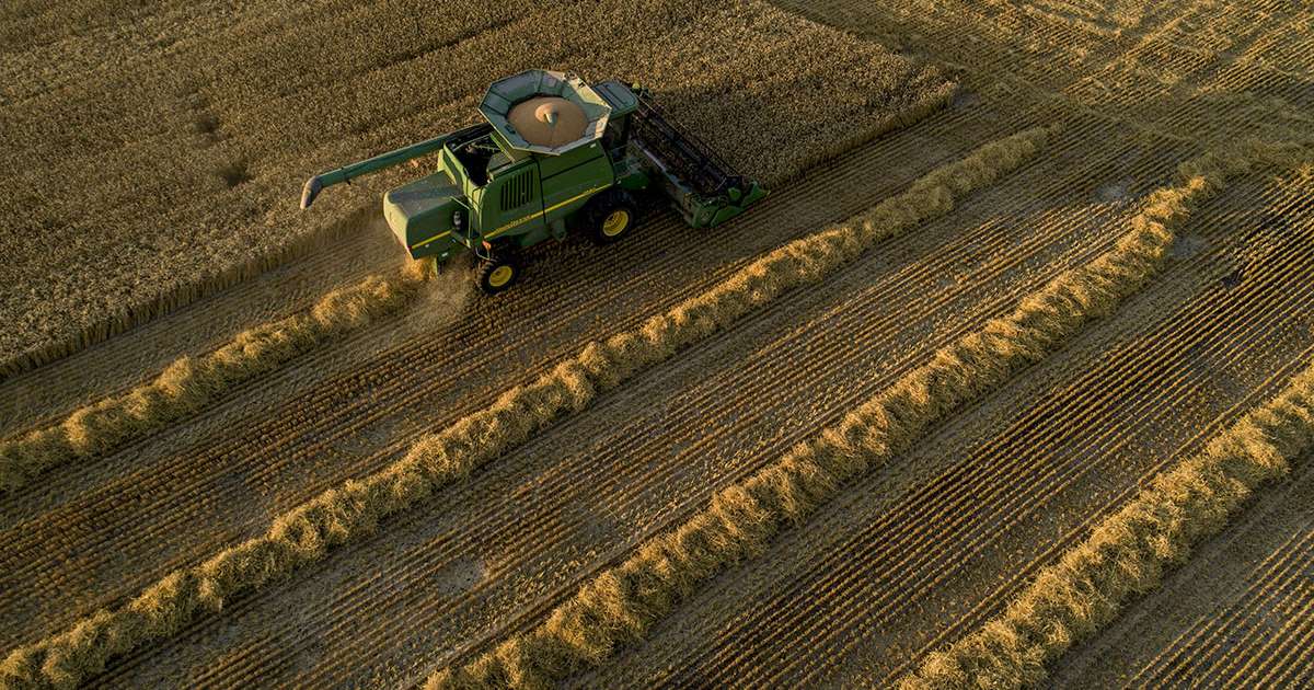 Israel Raises Wheat Levies to Woo US